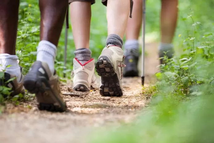 Wandelen door de Valuwe